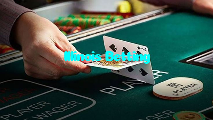 پاکستان کیلئے خصوصی کرکٹ اسکور بیٹنگ اور ڈیجیٹل سلاٹس